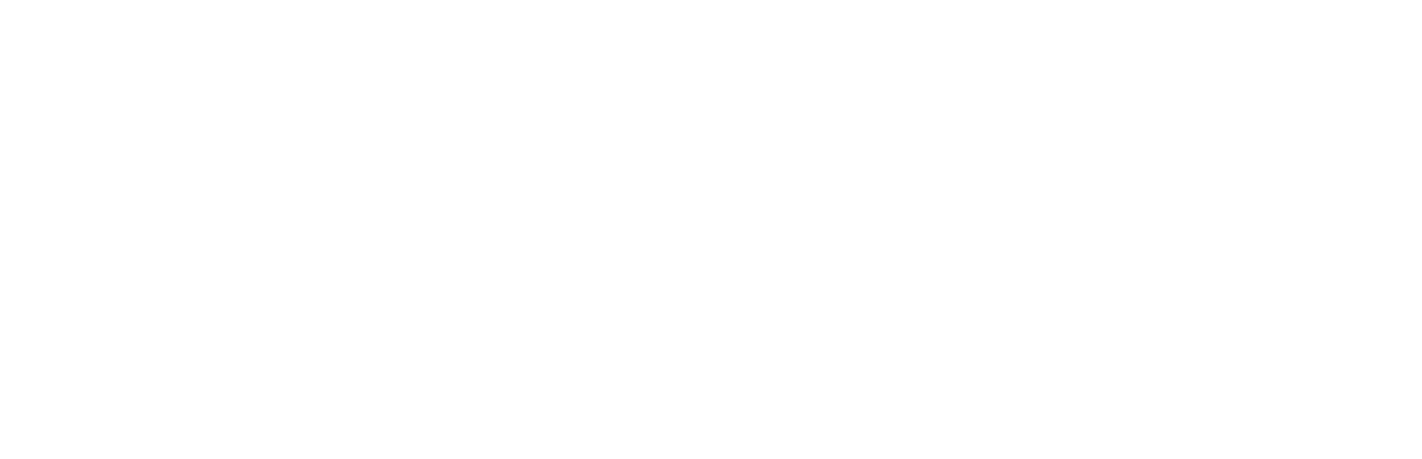 beardie buddy 
